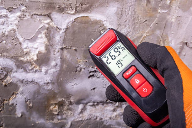 Best Black Mold Removal  in Ozark, AL